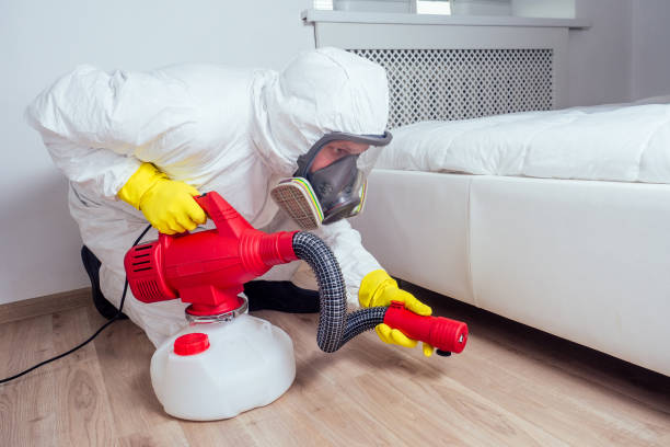Best Pest Removal Services  in Nassau Bay, TX