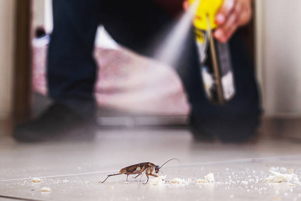  Nassau Bay, TX Pest Control Pros