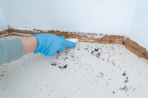 Best Pest Control Treatment  in Nassau Bay, TX