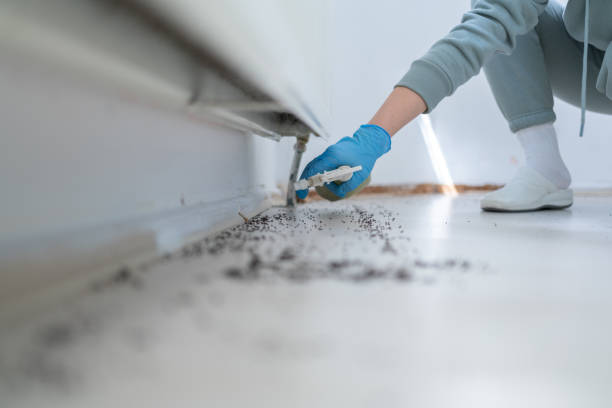 Best Rodent Control Near Me  in Nassau Bay, TX