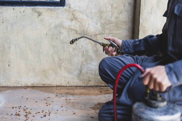 Best Affordable Pest Control Services  in Nassau Bay, TX